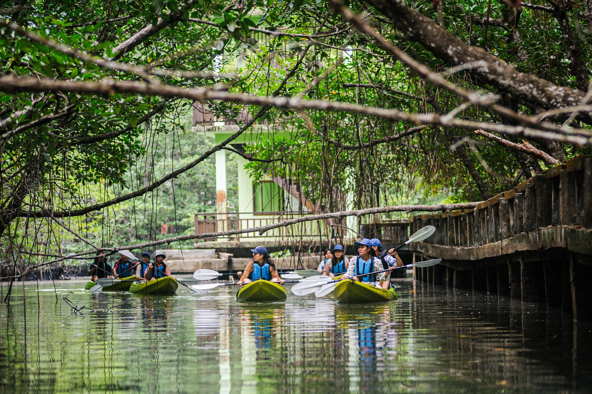 Tat Koh Chang (33)